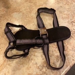 Kong small dog harness